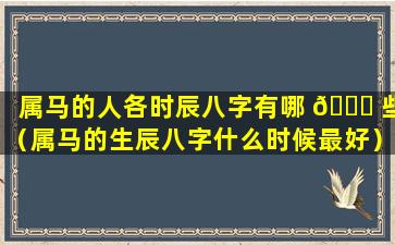 属马的人各时辰八字有哪 💐 些（属马的生辰八字什么时候最好）